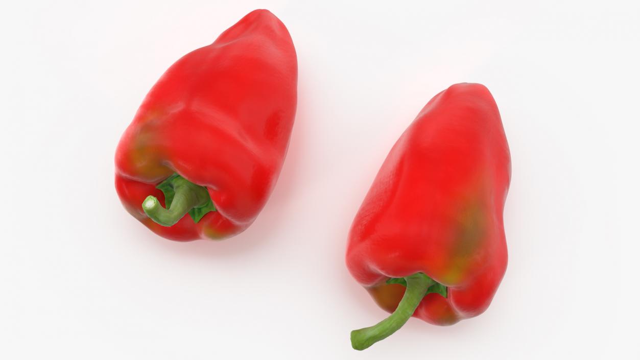 3D Red Long Pepper Bicolor model