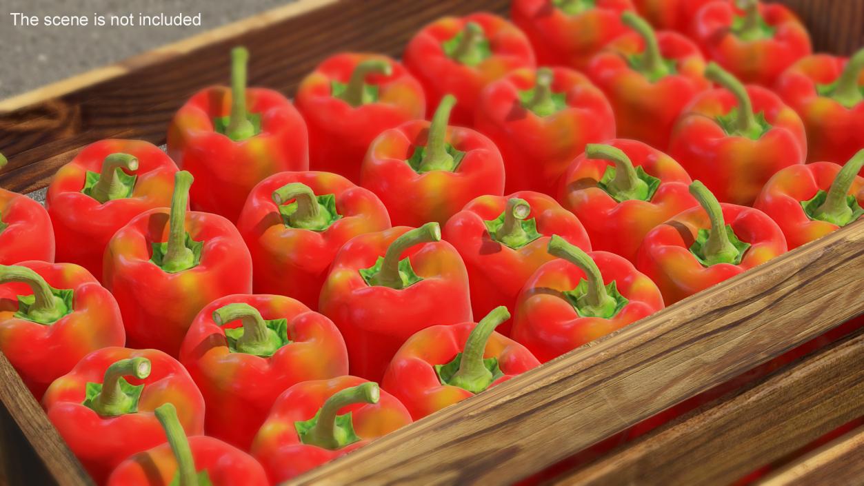 3D Red Long Pepper Bicolor model