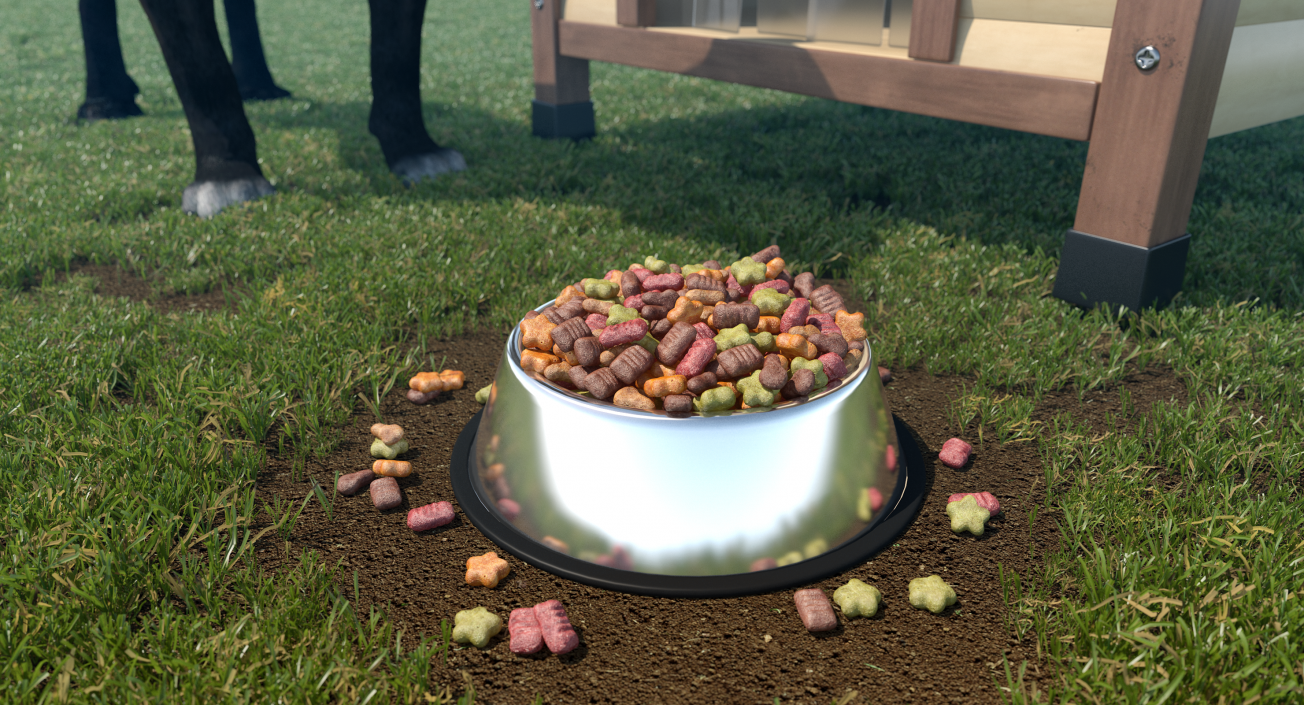 3D Dry Pet Food Stainless Steel Bowl model