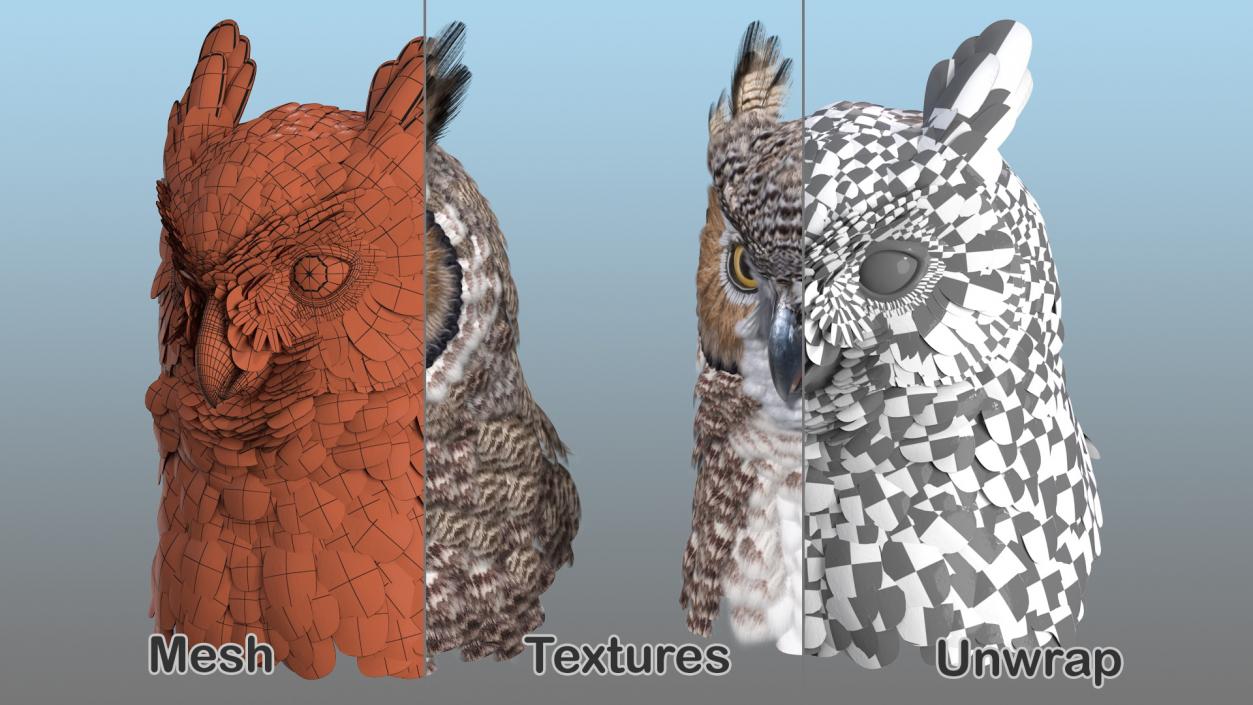 3D Great Horned Owl Head