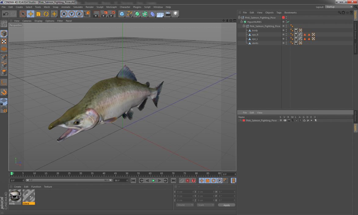 3D model Pink Salmon Fighting Pose