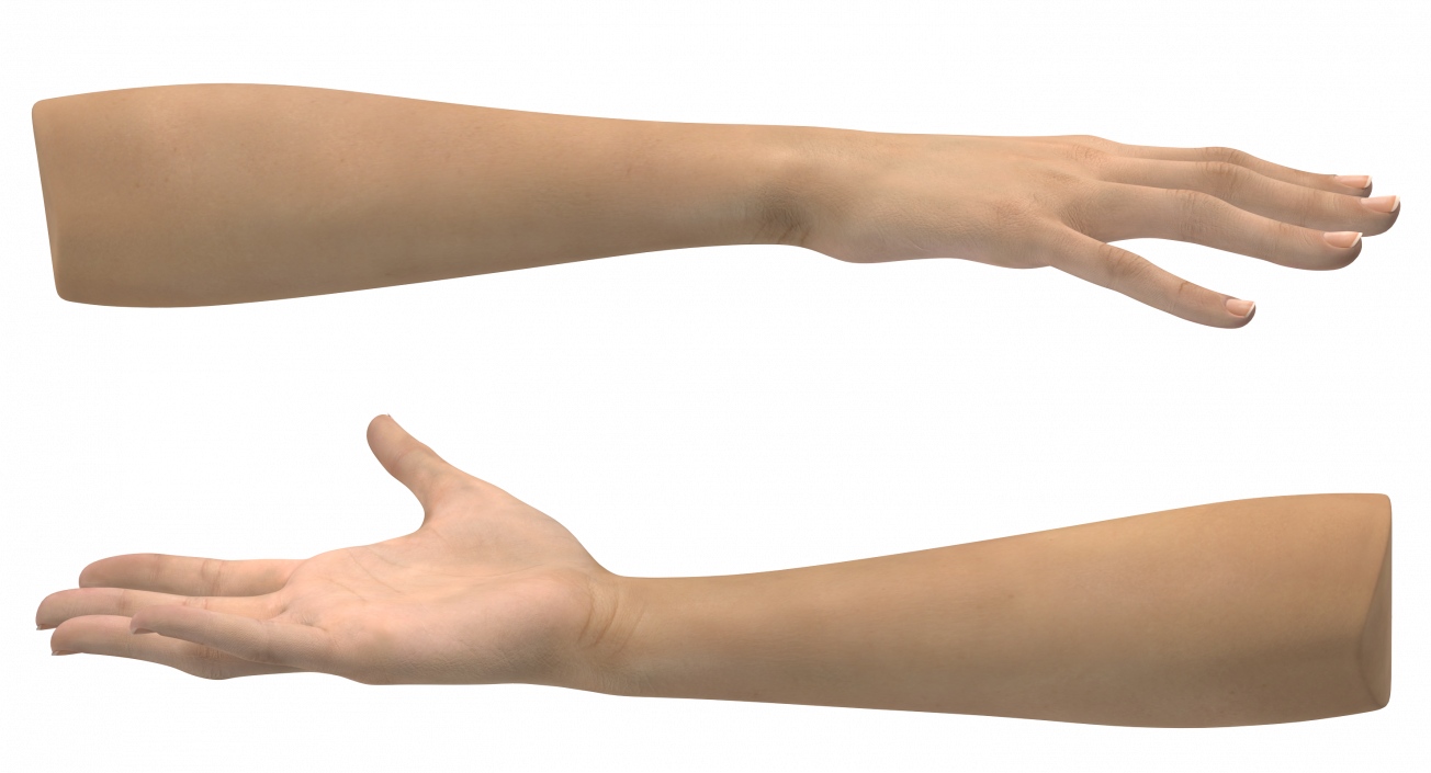 3D model Caucasian Female Hand Short Nails Rigged