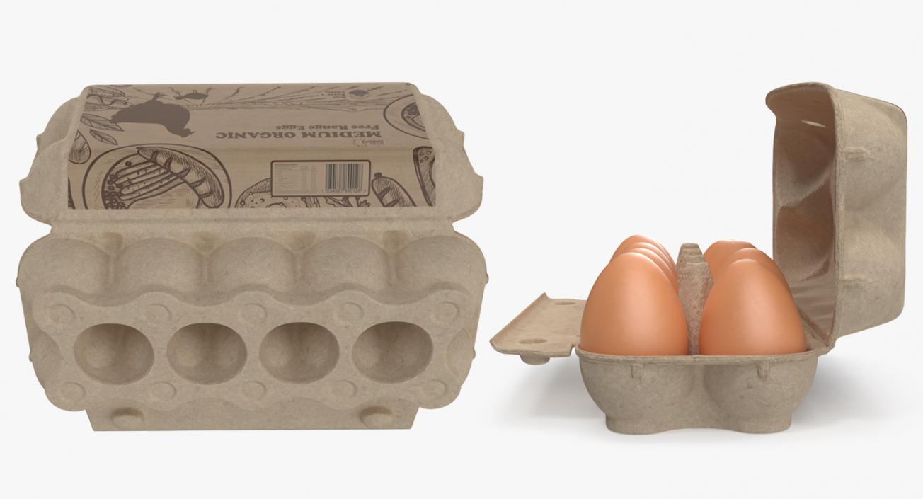 Eggs in Open Carton Package 3D
