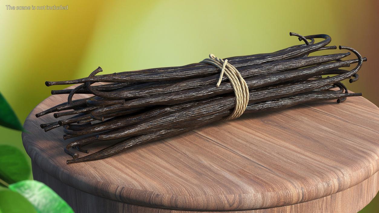 3D model Vanilla Sticks Bunch