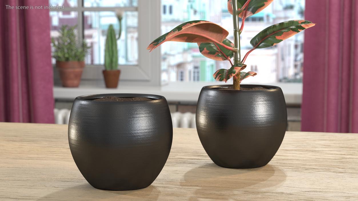 3D Ceramic Plant Pot Black model