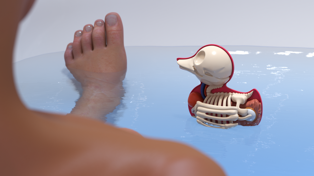 3D Bath Duck Anatomy Skeleton