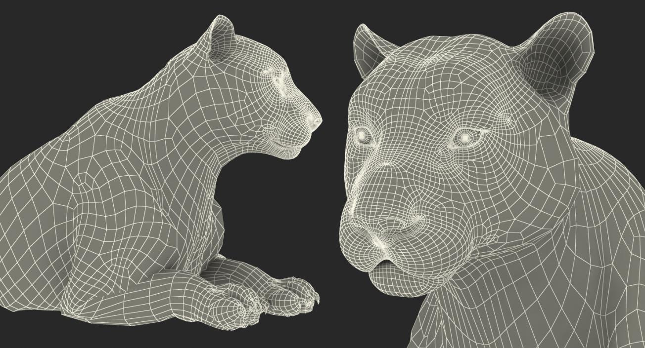 3D Lying White Tiger with Fur