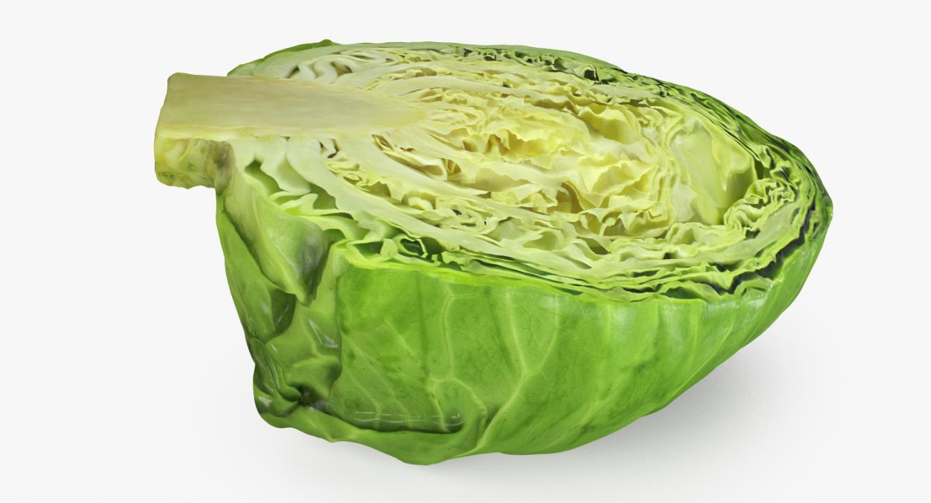 Cabbage Half 3D