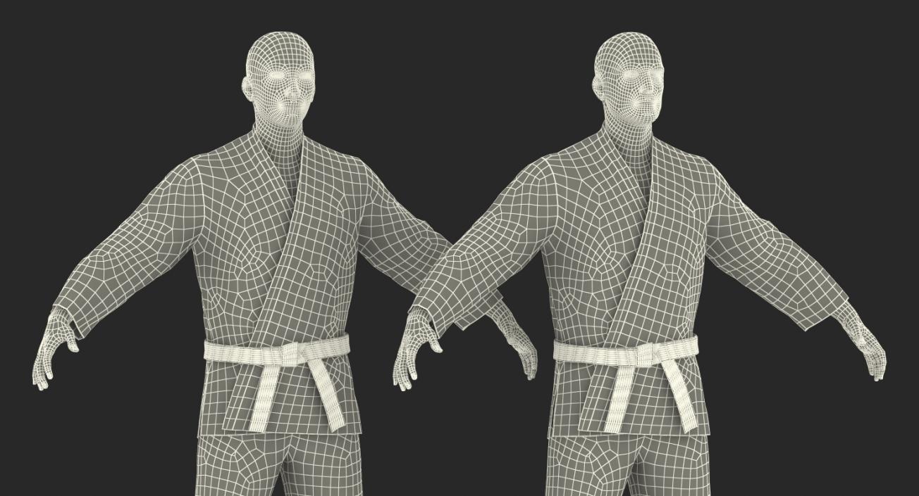 3D Karate Fighters Collection