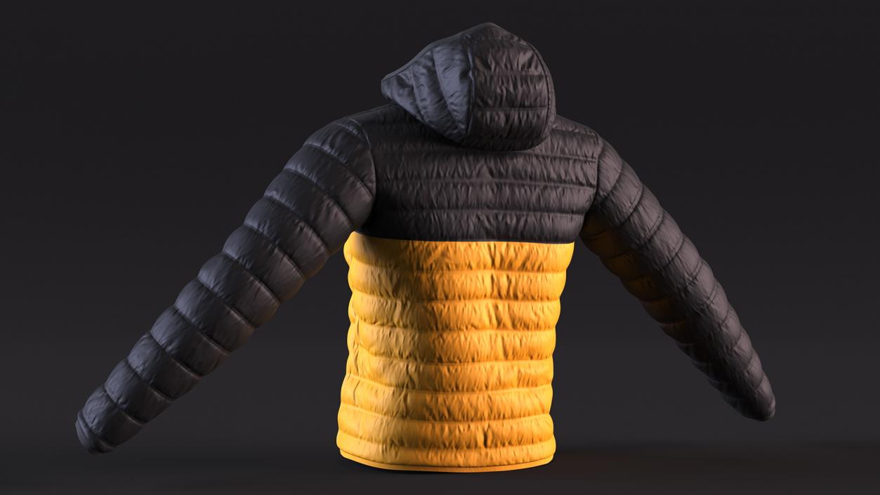 3D Yellow Jacket model