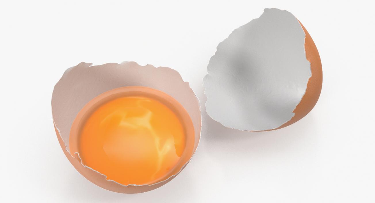 Cracked Egg Shell 3D