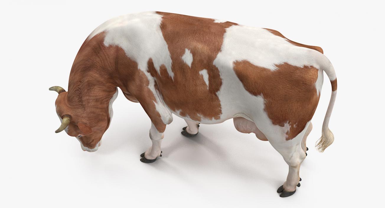 3D model Cow Rigged