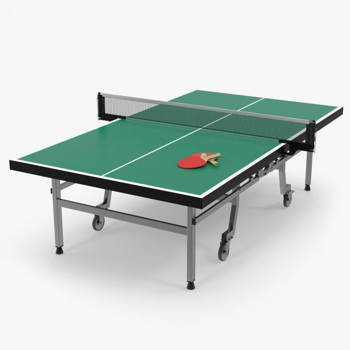 3D model Ping Pong Table with Paddle Generic