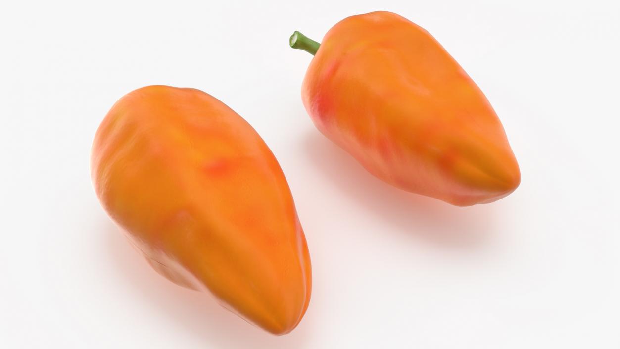 Sweet Long Pepper Orange 3D model