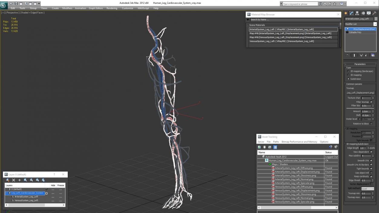 3D Human Leg Cardiovascular System