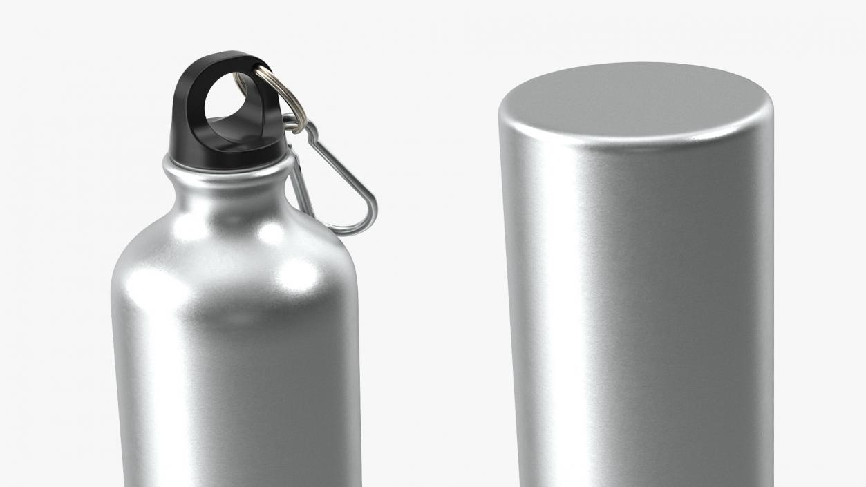 Aluminum Sport Water Bottle with Carabiner 3D