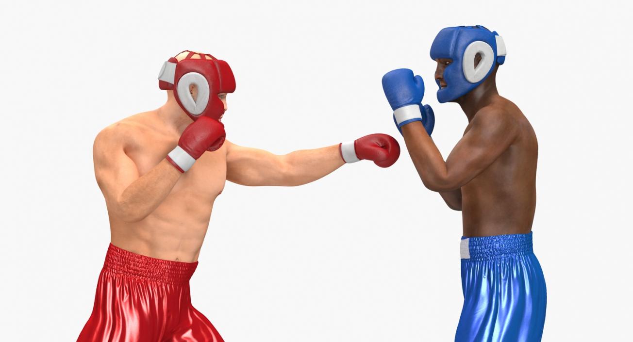 3D model Boxers Fighting