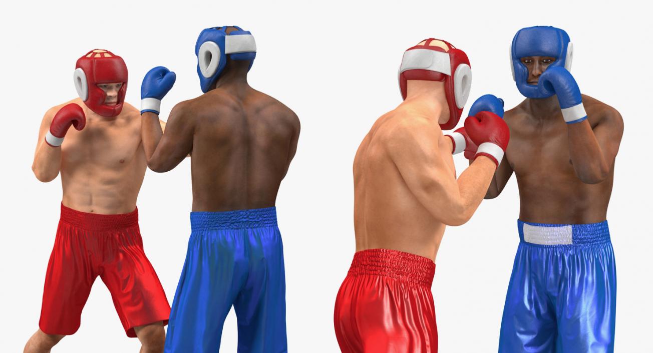 3D model Boxers Fighting