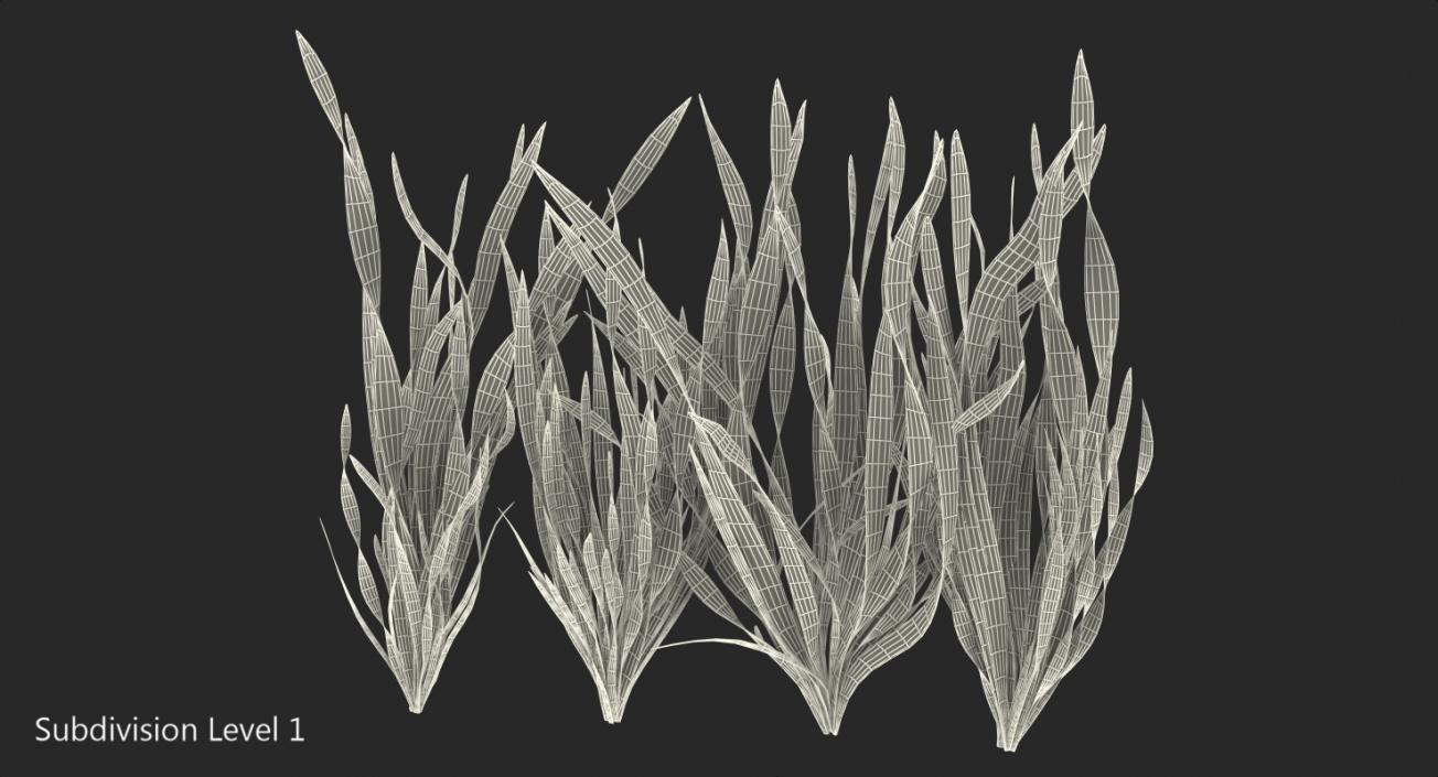 3D Vallisneria Spiralis Background Aquarium Plants Set