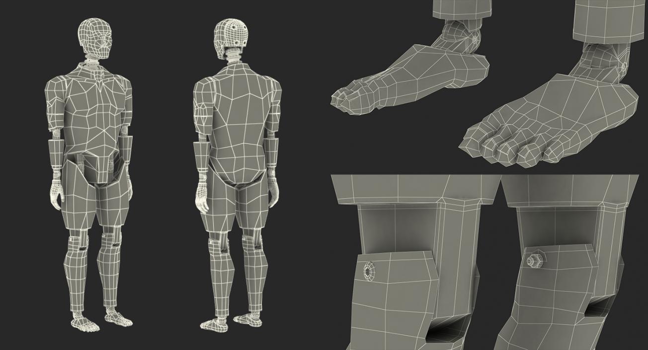 3D model Crash Test Dummy Standing Pose