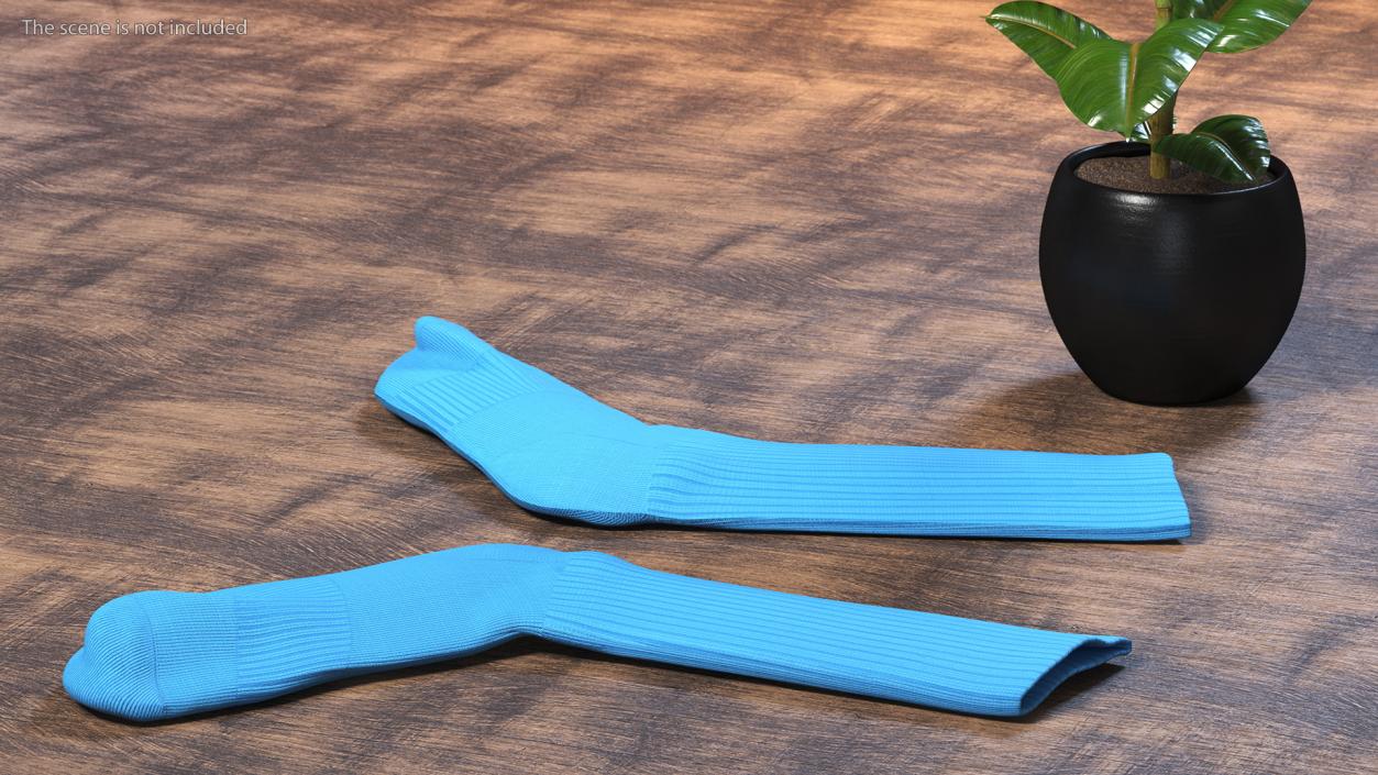 3D model Long Socks Blue Idle