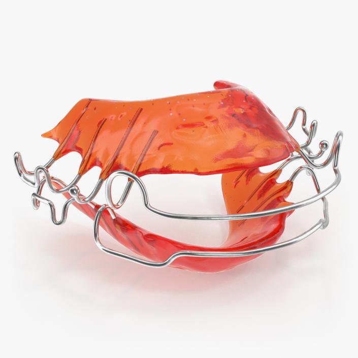 3D Dental Tooth Retainer