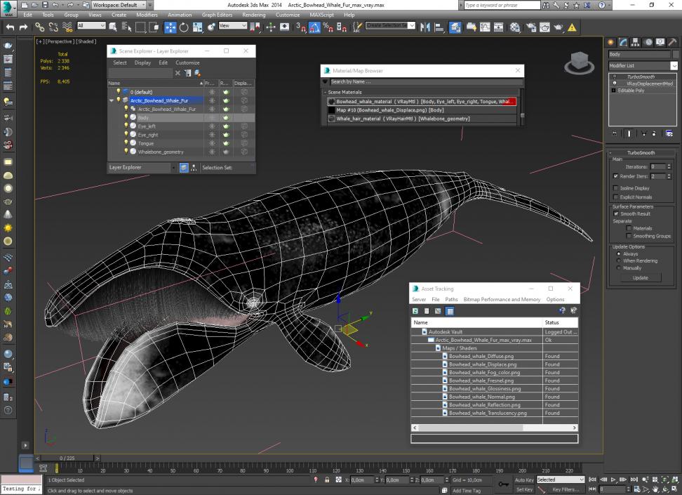 Arctic Bowhead Whale Fur 3D model