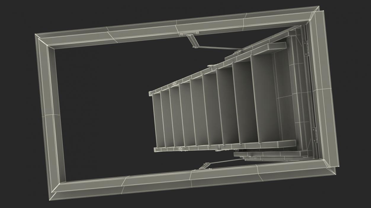 Attic Ladder Rigged 3D model