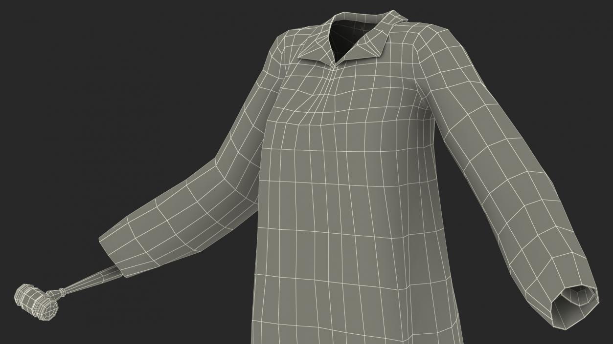 Judicial Robe with Gavel 3D model