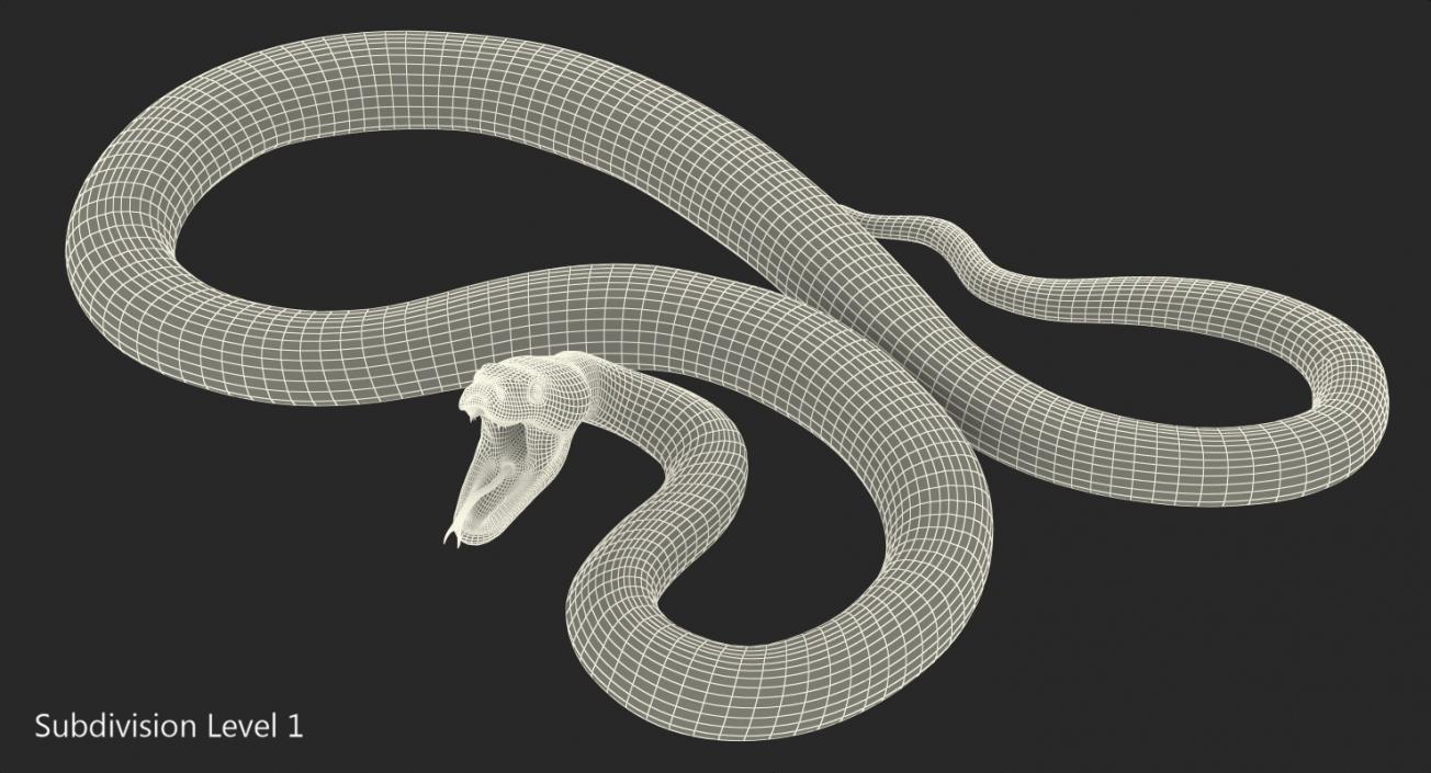 3D model Brown Python Snake Attack Pose