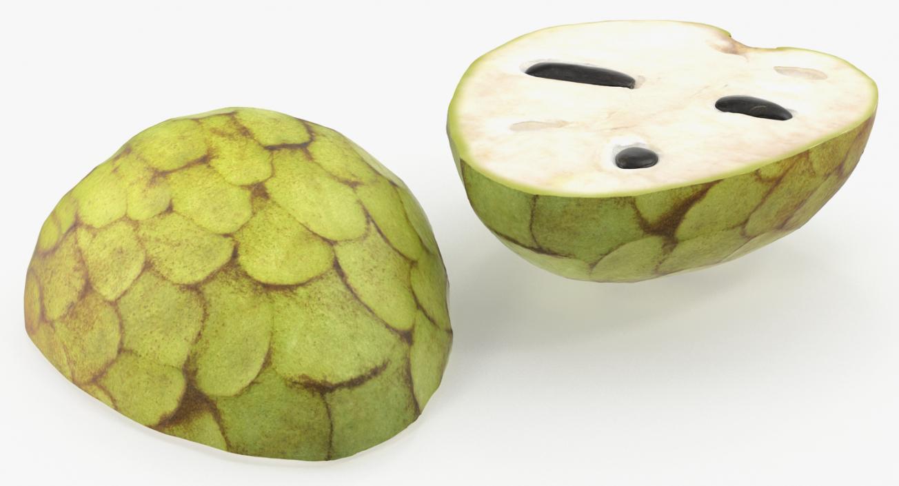 3D model Chirimoya Fruit Half