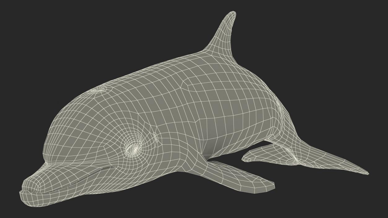 3D model Dolphin Swimming Animated