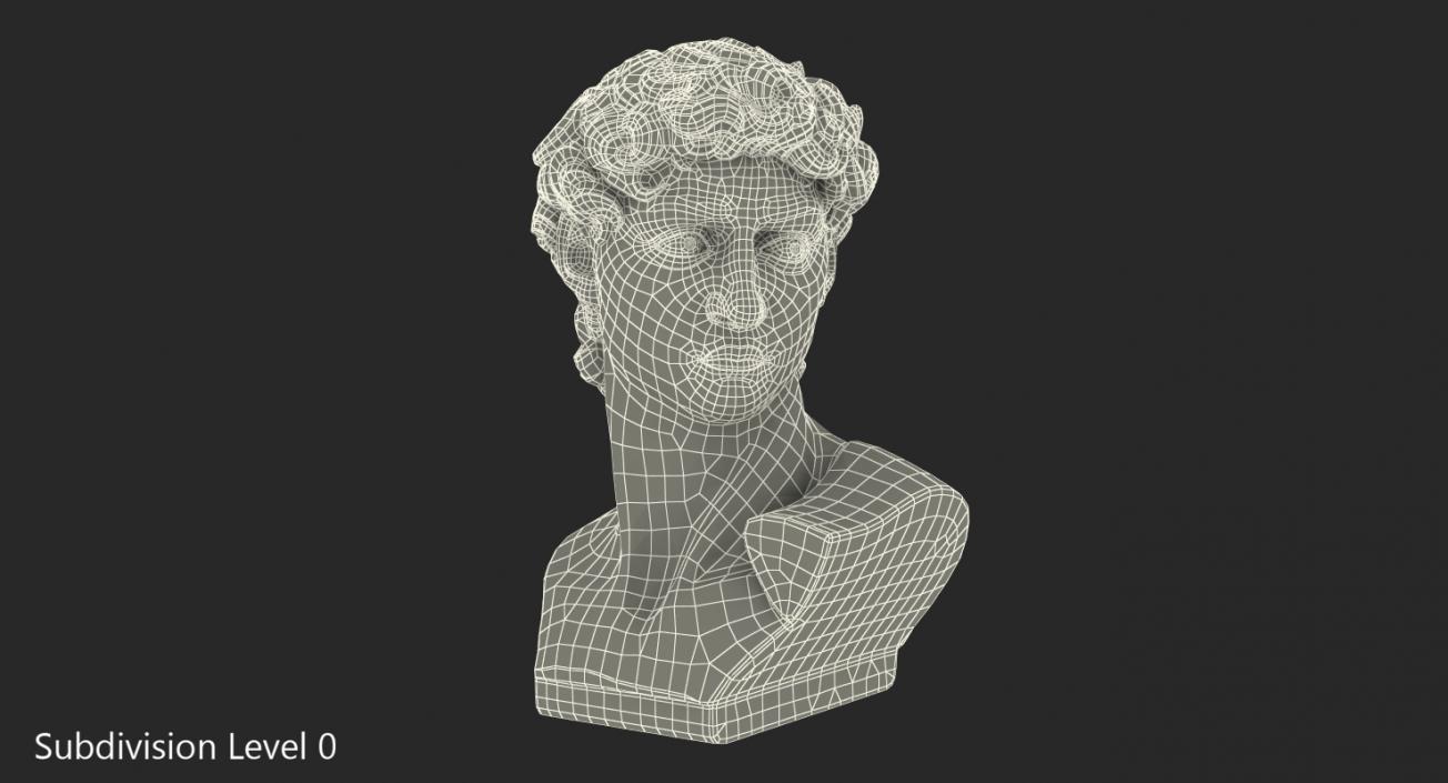 Bust of David by Michelangelo 3D model