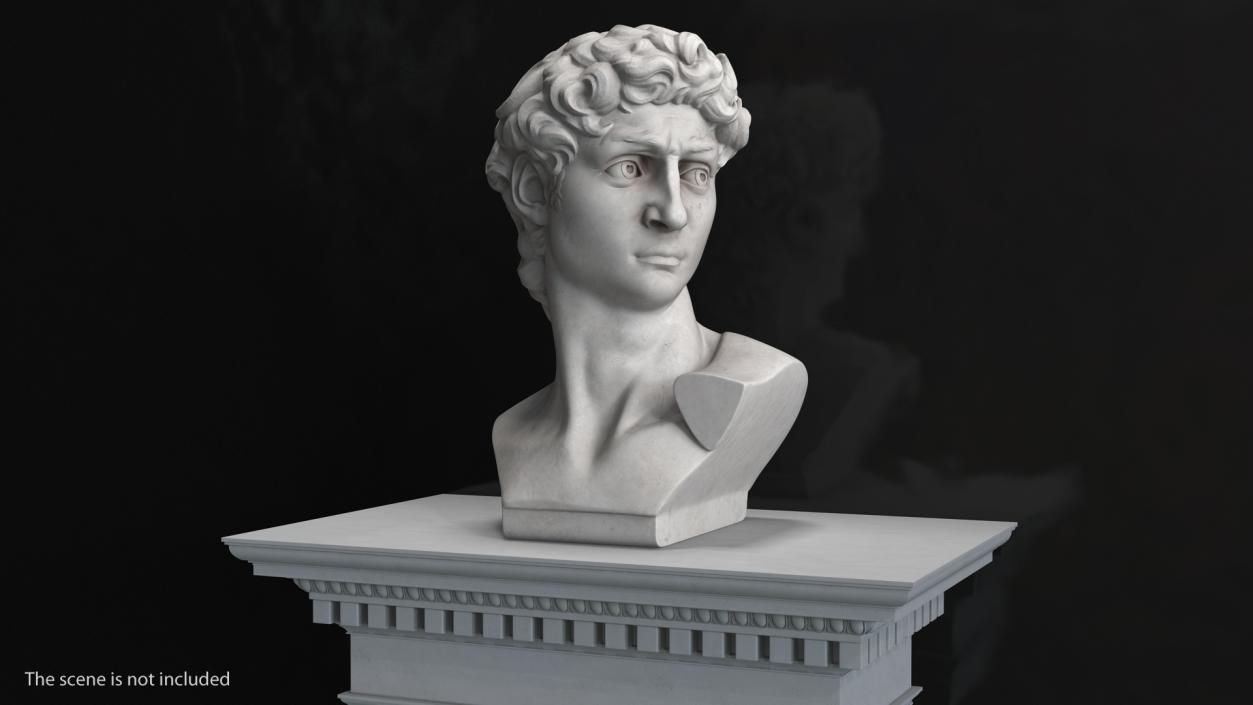 Bust of David by Michelangelo 3D model