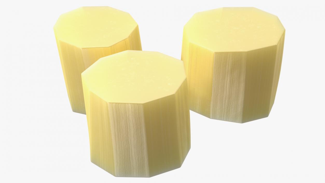 3D model Sugarcane Cut Pieces