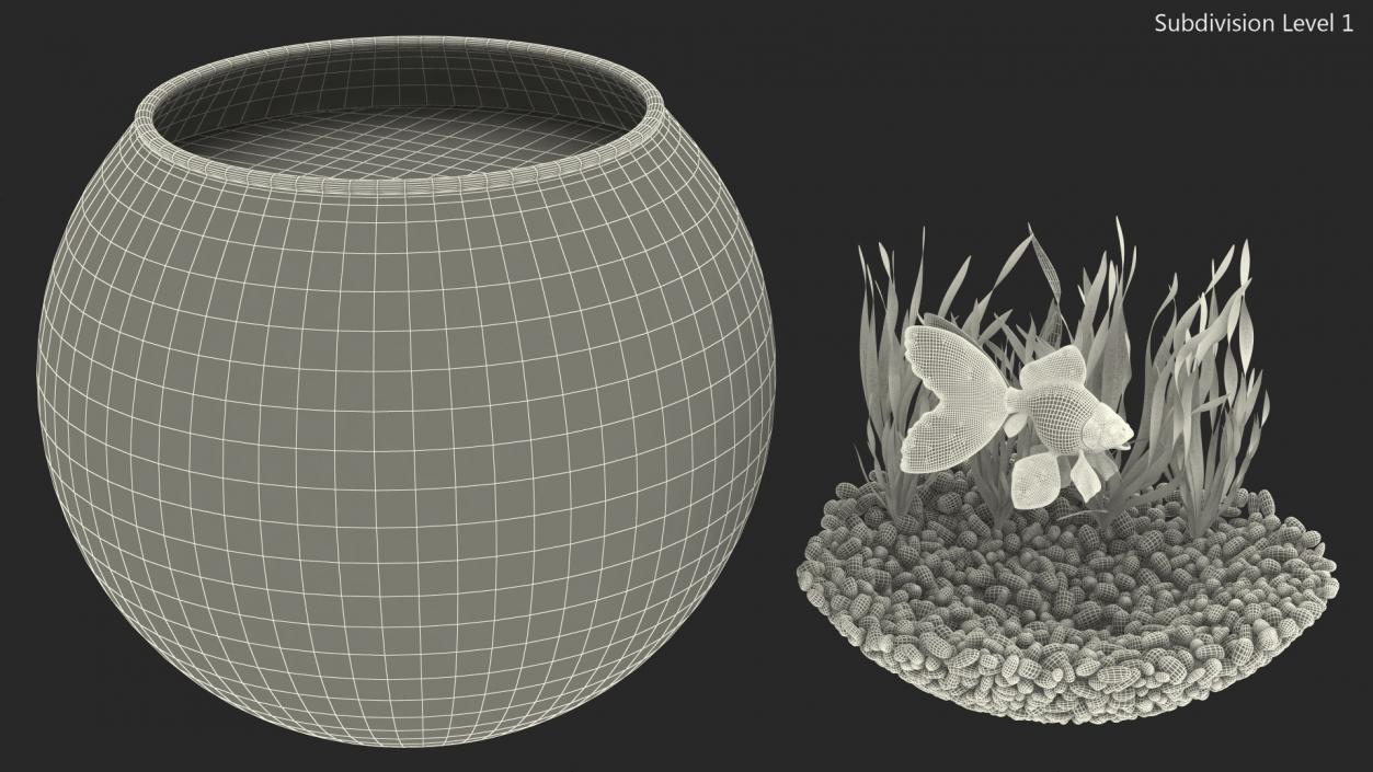 3D Round Aquarium with GoldFish model