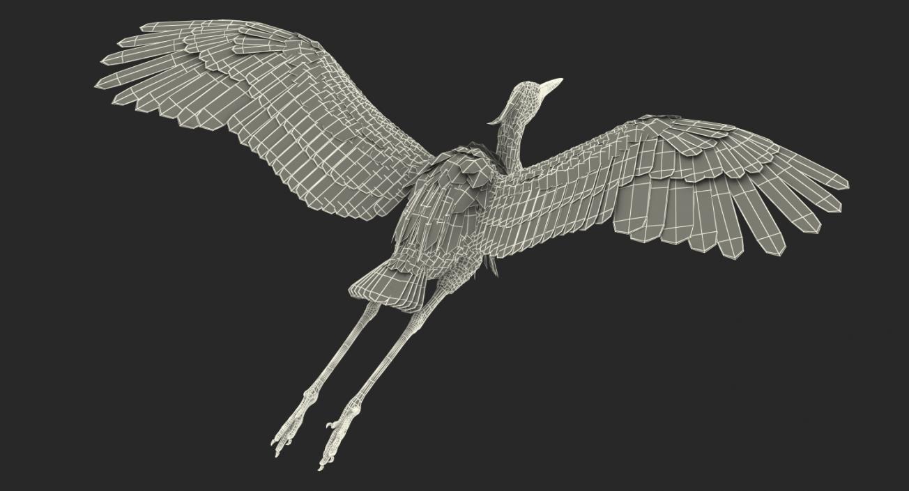 3D Great Blue Heron in Flight