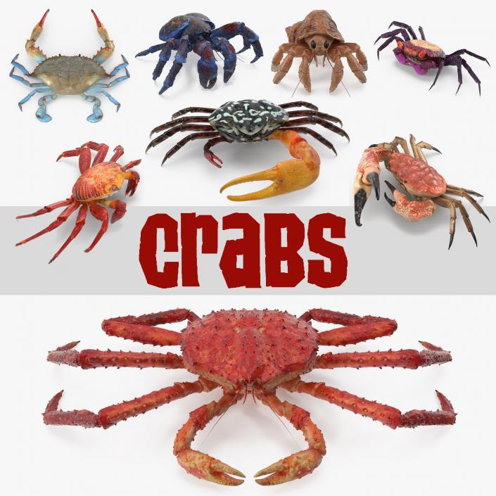 3D Crabs Collection 3 model