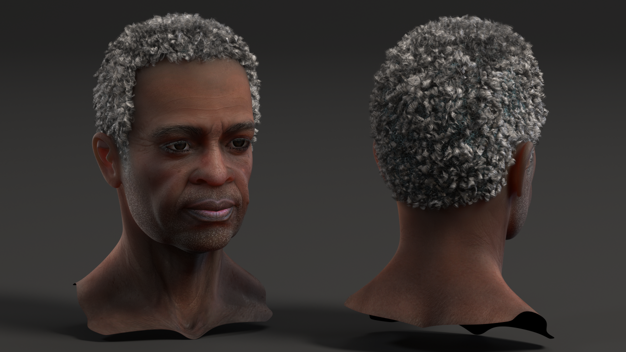 3D Afro American Grandpa Head