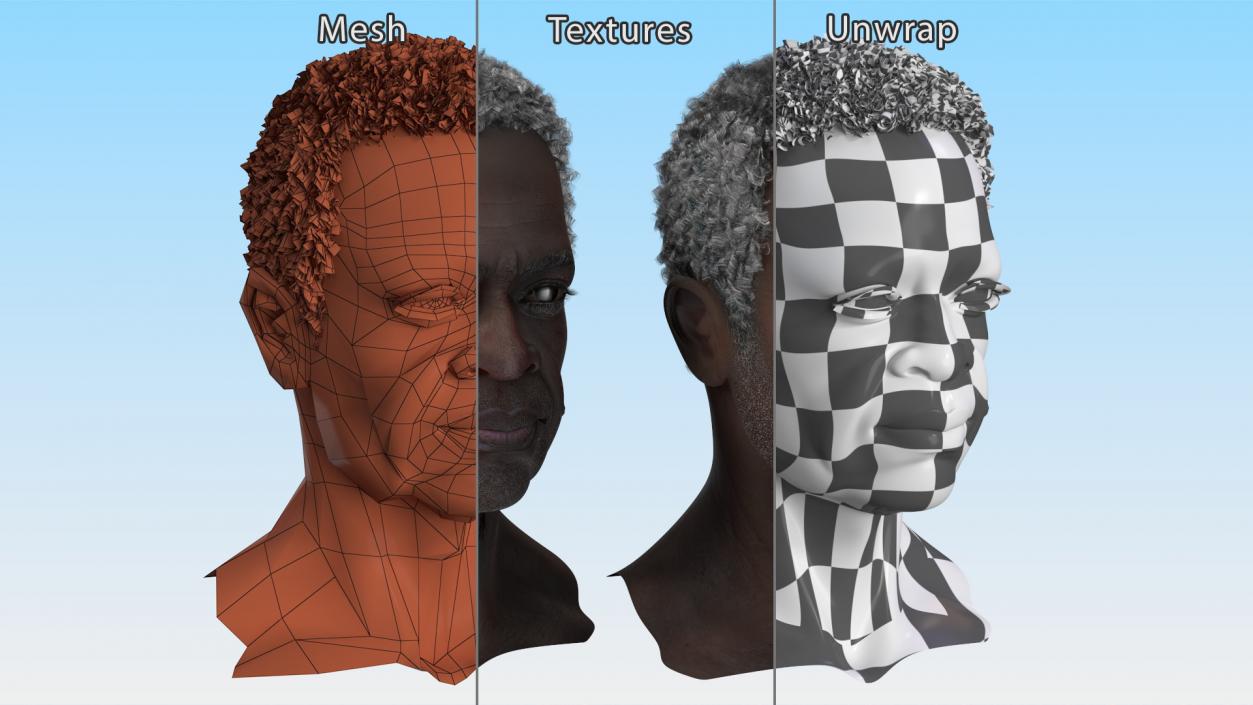3D Afro American Grandpa Head