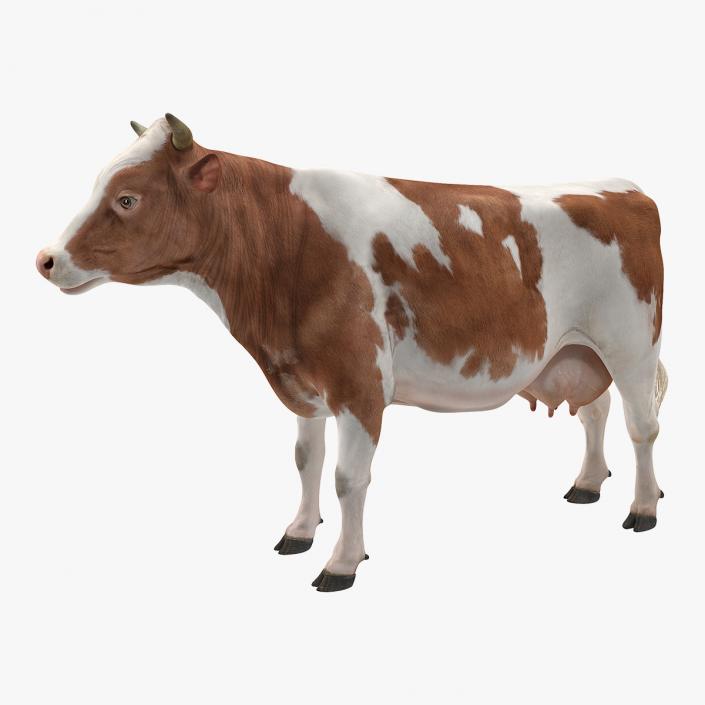 Cow 3D model