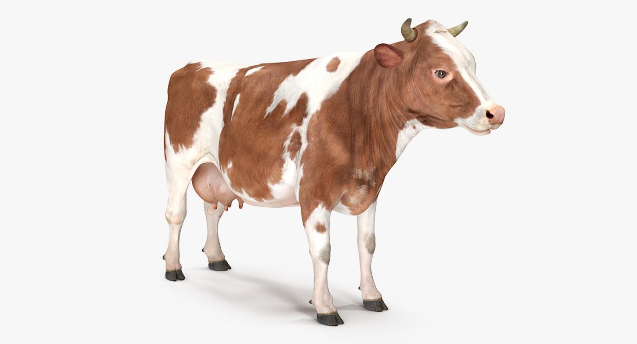 Cow 3D model