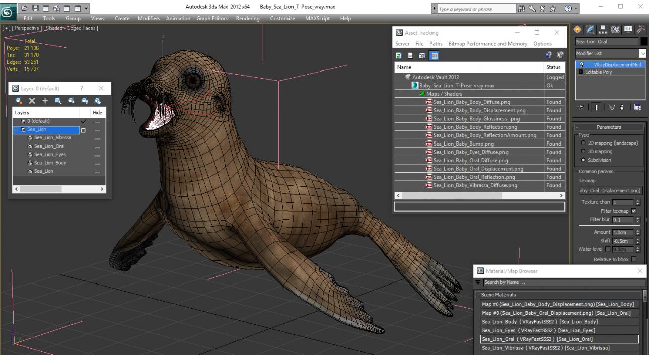3D model Baby Sea Lion T-Pose
