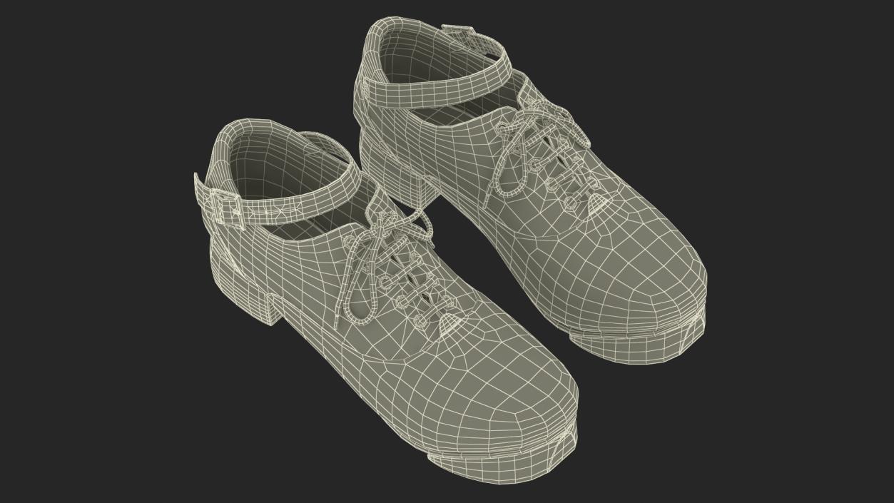 3D Irish Dance Jig Shoes