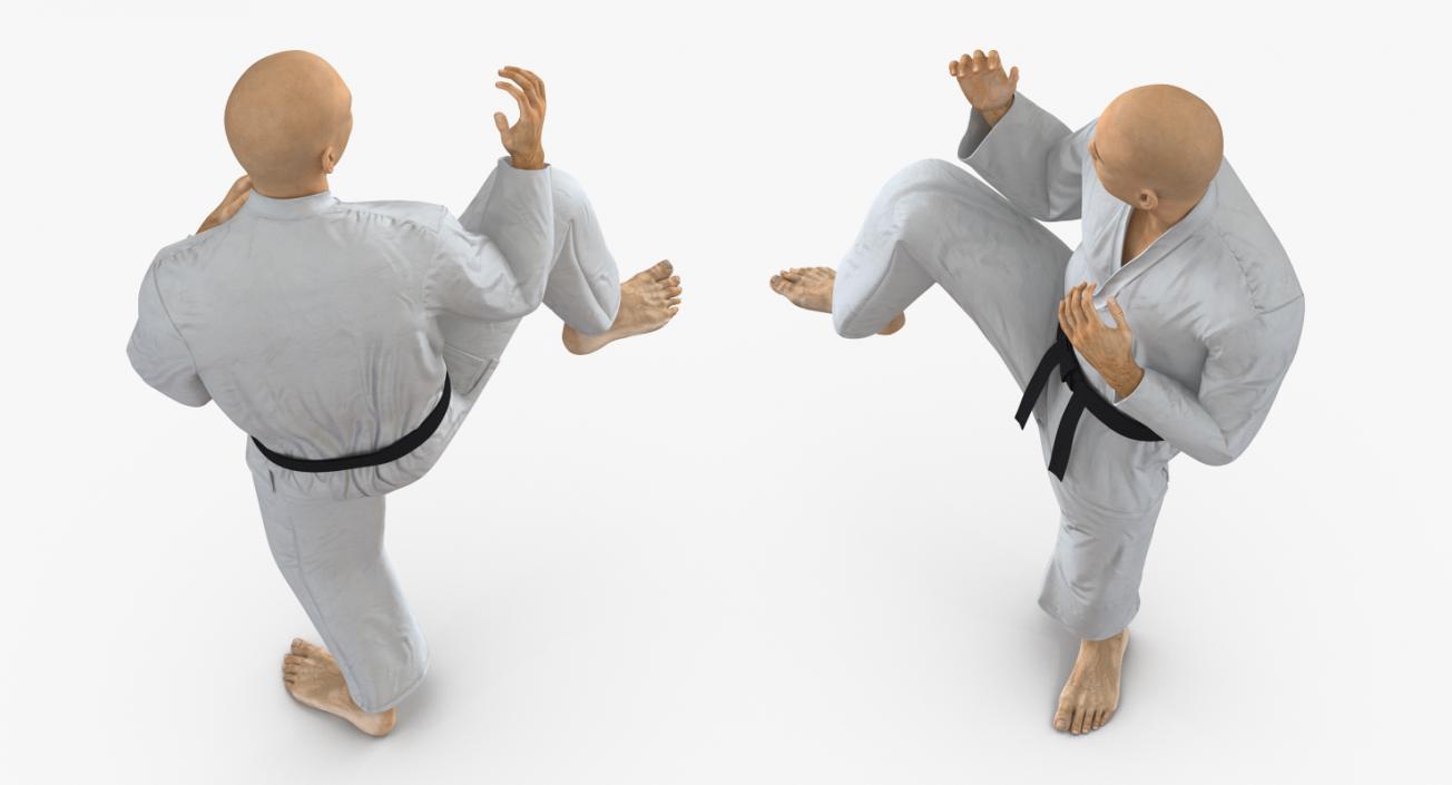 3D model Japanese Karate Fighter Rigged