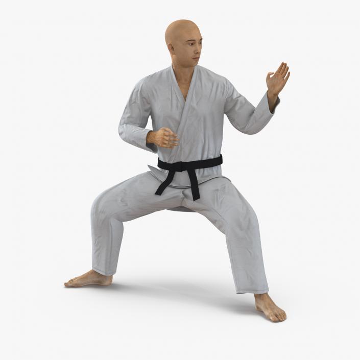 3D model Japanese Karate Fighter Rigged