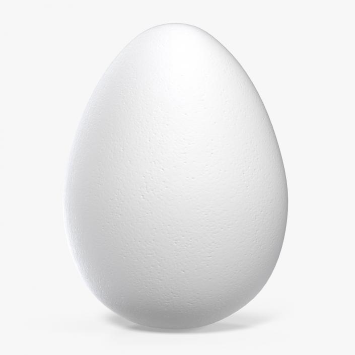 White Egg 3D model