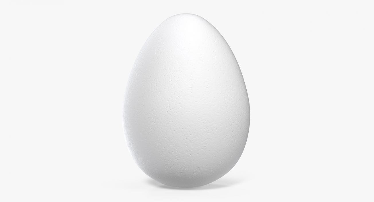 White Egg 3D model