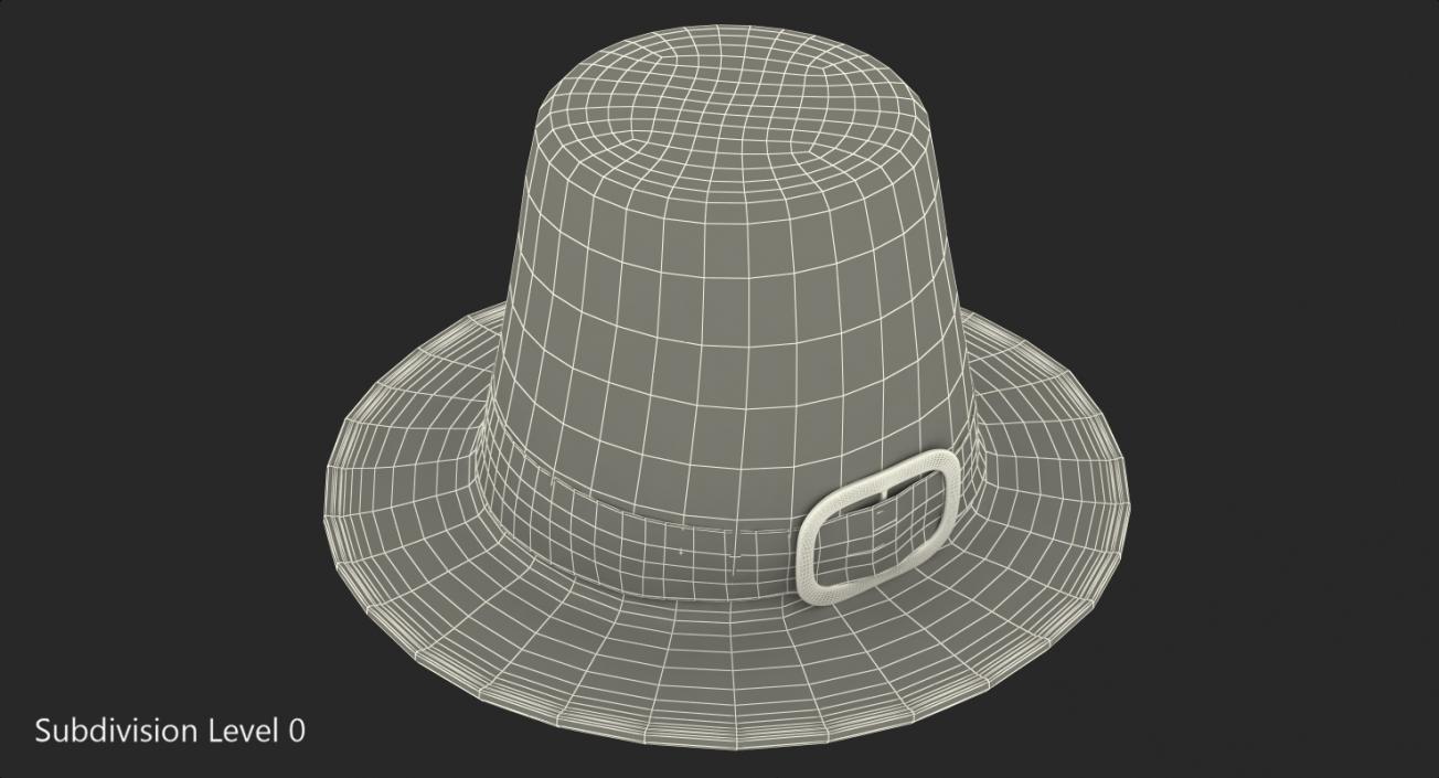 3D Pilgrim Hat