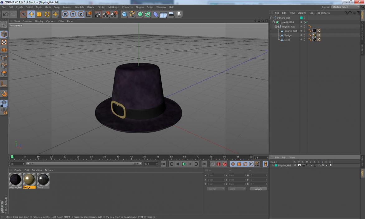 3D Pilgrim Hat